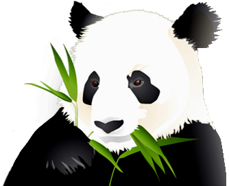 panda